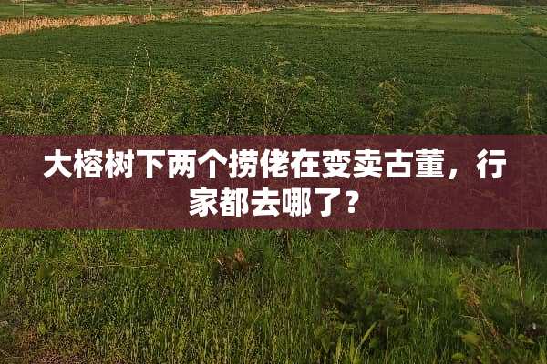 大榕树下两个捞佬在变卖古董，行家都去哪了？
