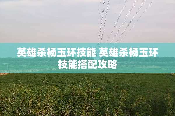 英雄杀杨玉环技能 英雄杀杨玉环技能搭配攻略
