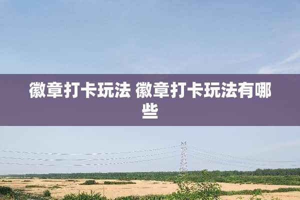 徽章打卡玩法 徽章打卡玩法有哪些