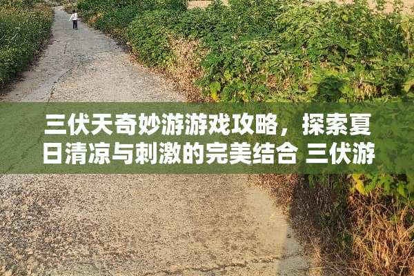 三伏天奇妙游游戏攻略，探索夏日清凉与**的完美结合 三伏游戏攻略