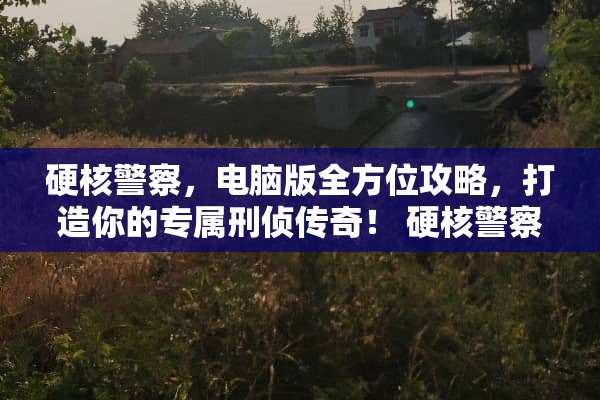 硬核**，电脑版全方位攻略，打造你的专属刑侦传奇！ 硬核**电脑版游戏攻略