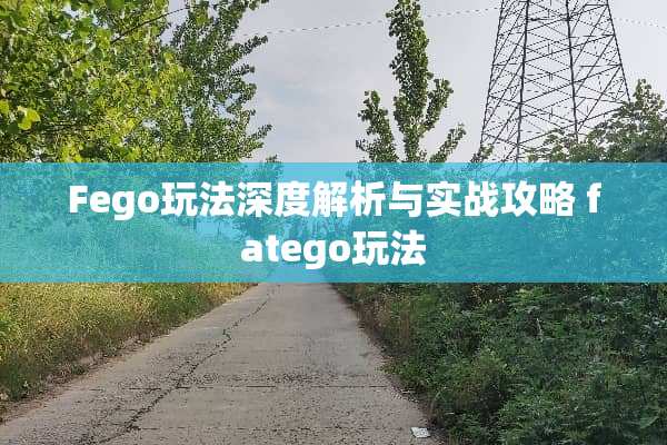 Fego玩法深度解析与实战攻略 fatego玩法