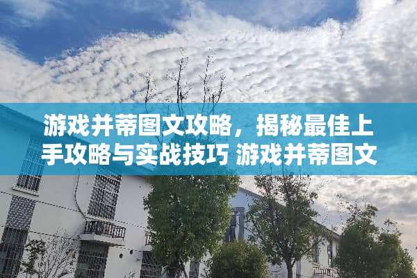 游戏并蒂图文攻略，揭秘最佳上手攻略与实战技巧 游戏并蒂图文攻略