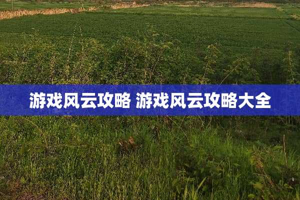 游戏风云攻略 游戏风云攻略大全