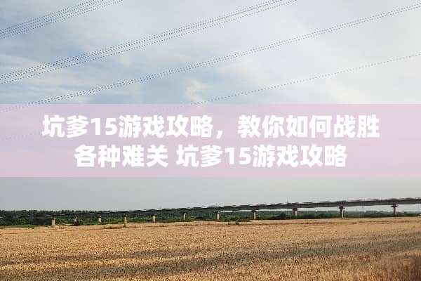 坑爹15游戏攻略，教你如何战胜各种难关 坑爹15游戏攻略