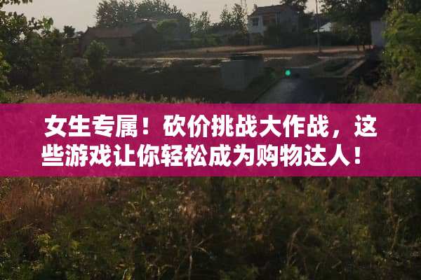 女生专属！砍价挑战大作战，这些游戏让你轻松成为购物达人！ 砍价攻略游戏推荐女生