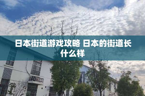 日本街道游戏攻略 日本的街道长什么样