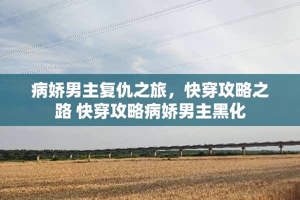 病娇男主复仇之旅，快穿攻略之路 快穿攻略病娇男主黑化