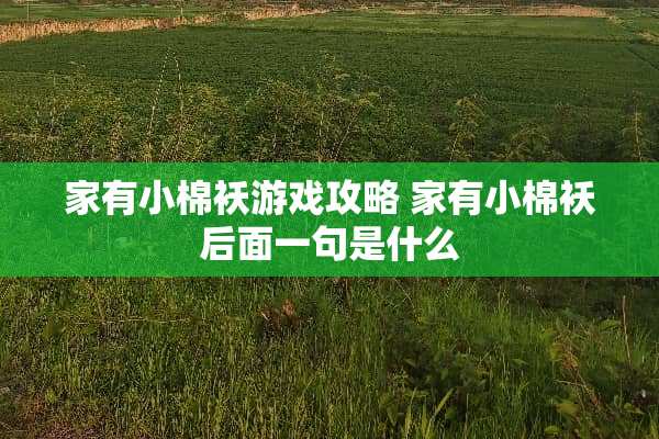 家有小棉袄游戏攻略 家有小棉袄后面一句是什么
