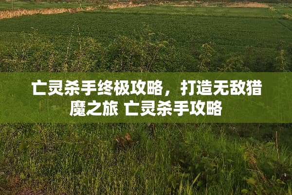 亡灵**终极攻略，打造无敌猎魔之旅 亡灵**攻略