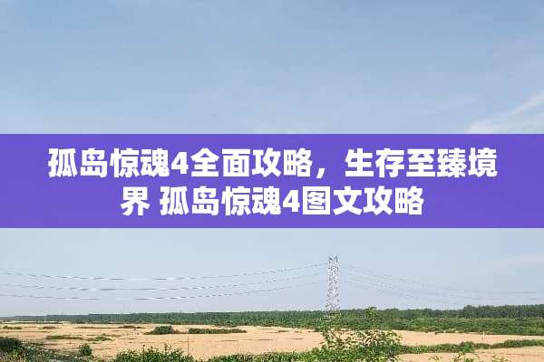 孤岛惊魂4全面攻略，生存至臻境界 孤岛惊魂4图文攻略
