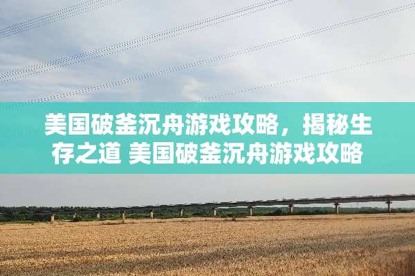 美国破釜沉舟游戏攻略，揭秘生存之道 美国破釜沉舟游戏攻略