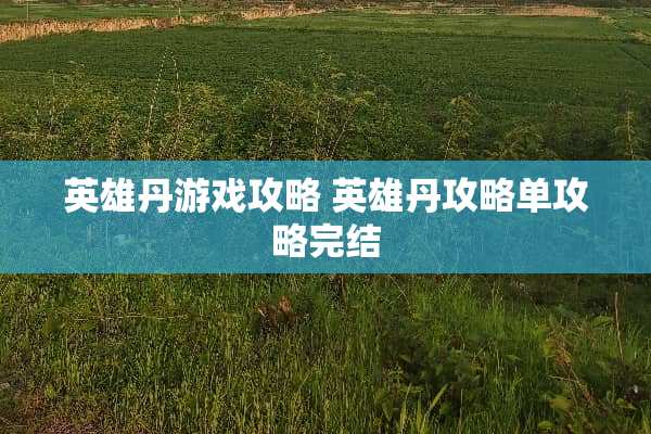 英雄丹游戏攻略 英雄丹攻略单攻略完结