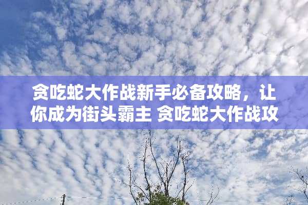 贪吃蛇大作战新手必备攻略，让你成为街头霸主 贪吃蛇大作战攻略