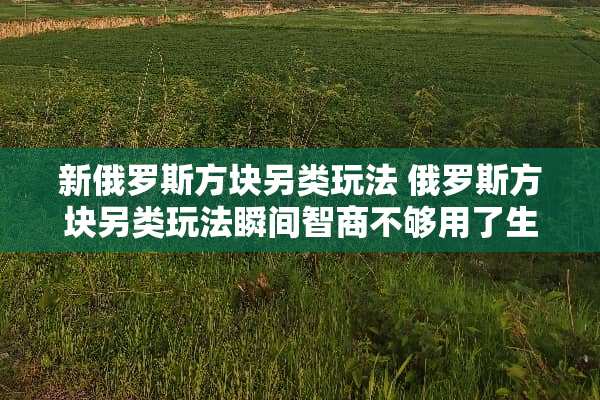 新俄罗斯方块另类玩法 俄罗斯方块另类玩法瞬间智商不够用了生者为过客