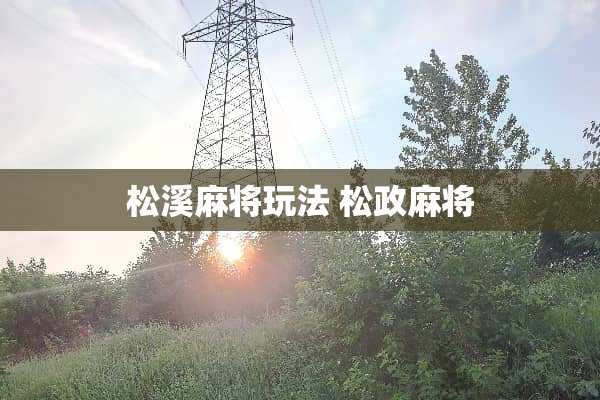 松溪麻将玩法 松政麻将