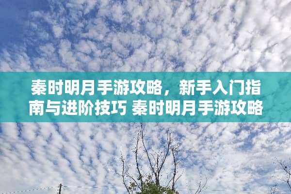 秦时明月手游攻略，新手入门指南与进阶技巧 秦时明月手游攻略