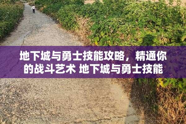 **城与勇士技能攻略，精通你的战斗艺术 **城与勇士技能