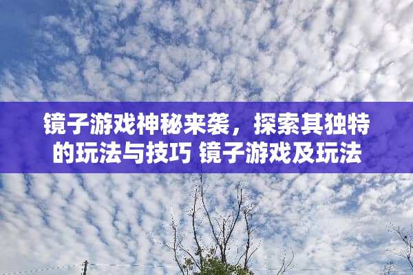 镜子游戏神秘来袭，探索其独特的玩法与技巧 镜子游戏及玩法