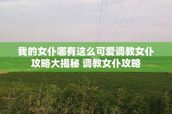 我的女仆哪有这么可爱**女仆攻略大揭秘 **女仆攻略