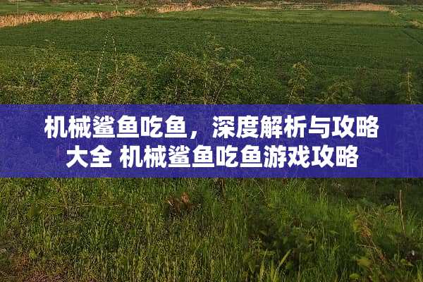 机械鲨鱼吃鱼，深度解析与攻略大全 机械鲨鱼吃鱼游戏攻略