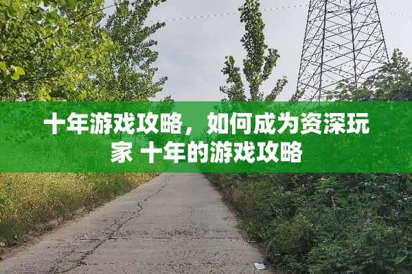 十年游戏攻略，如何成为资深玩家 十年的游戏攻略