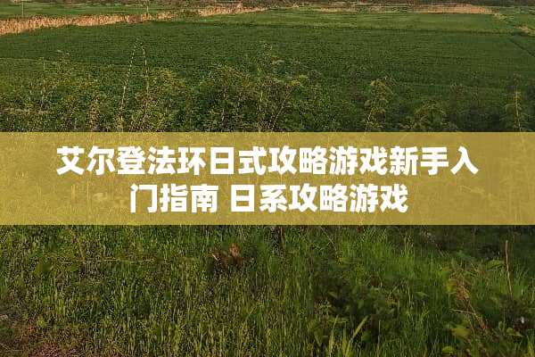 艾尔登法环日式攻略游戏新手入门指南 日系攻略游戏