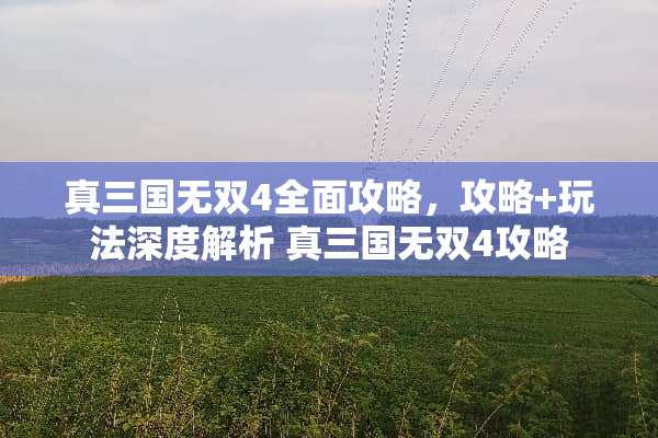 真三国无双4全面攻略，攻略+玩法深度解析 真三国无双4攻略