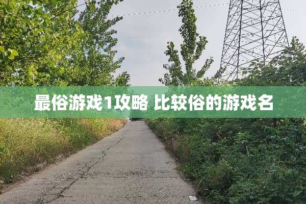 最俗游戏1攻略 比较俗的游戏名
