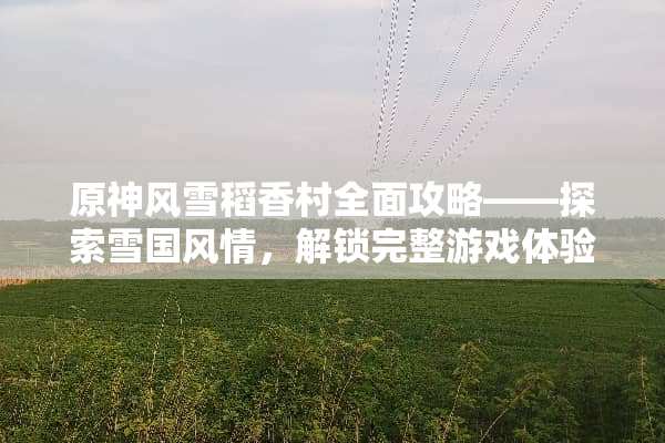 原神风雪稻香村全面攻略——探索雪国风情，解锁完整游戏体验 风雪稻香村攻略