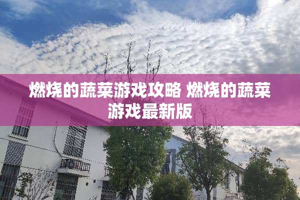 燃烧的蔬菜游戏攻略 燃烧的蔬菜游戏最新版