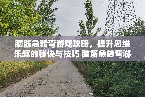 脑筋急转弯游戏攻略，提升思维乐趣的秘诀与技巧 脑筋急转弯游戏攻略