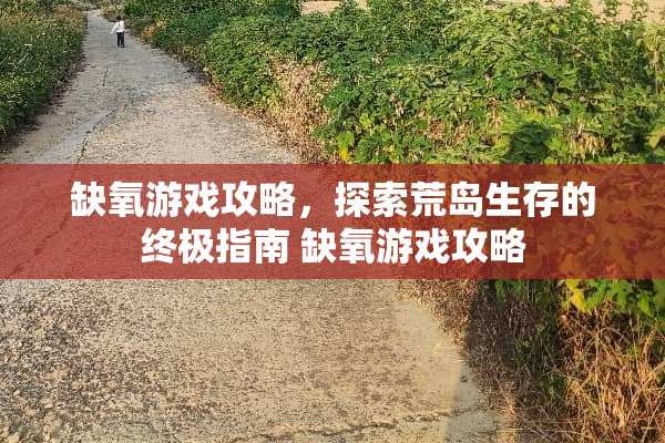 缺氧游戏攻略，探索荒岛生存的终极指南 缺氧游戏攻略