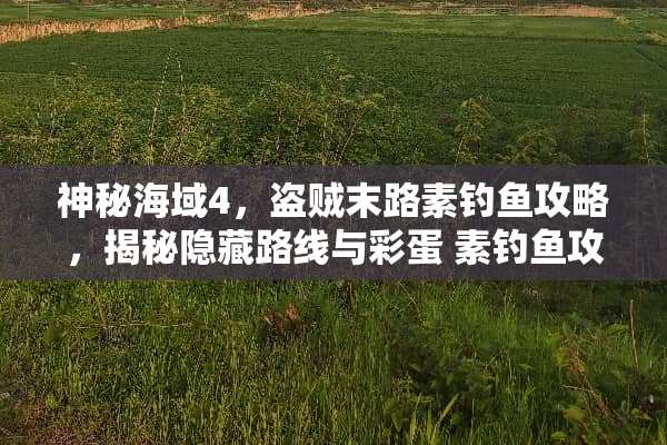 神秘海域4，盗贼末路素钓鱼攻略，揭秘隐藏路线与彩蛋 素钓鱼攻略游戏