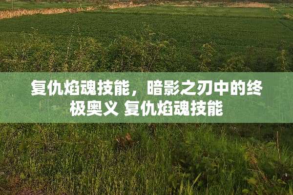 复仇焰魂技能，暗影之刃中的终极奥义 复仇焰魂技能