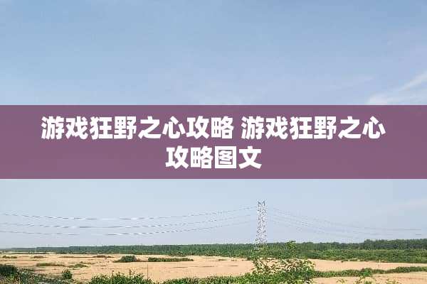 游戏狂野之心攻略 游戏狂野之心攻略图文