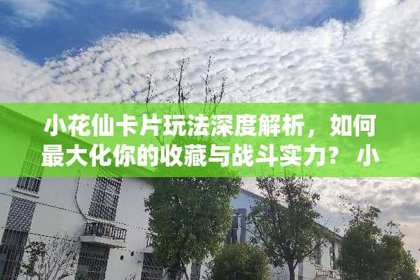 小花仙卡片玩法深度解析，如何最大化你的收藏与战斗实力？ 小花仙卡片玩法