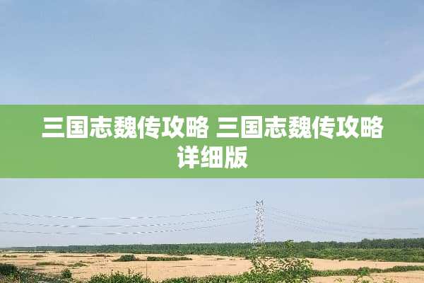 三国志魏传攻略 三国志魏传攻略详细版