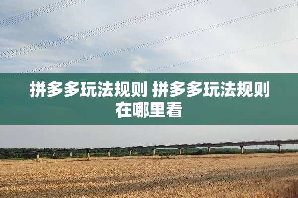 拼多多玩法规则 拼多多玩法规则在哪里看