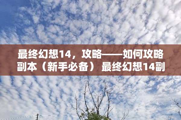 最终幻想14，攻略——如何攻略副本（新手必备） 最终幻想14副本攻略