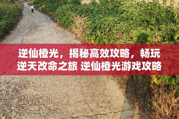 逆仙橙光，揭秘高效攻略，畅玩逆天改命之旅 逆仙橙光游戏攻略