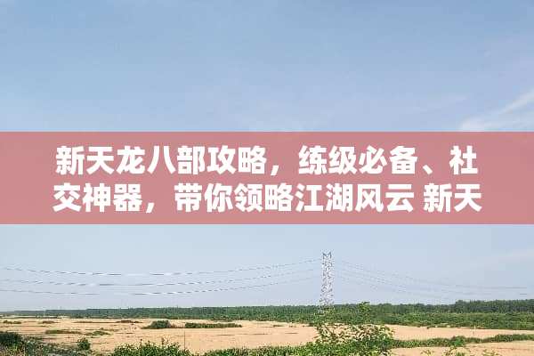 新天龙八部攻略，练级必备、社交神器，带你领略江湖风云 新天龙八部攻略