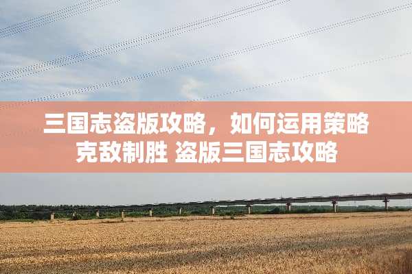 三国志盗版攻略，如何运用策略克敌制胜 盗版三国志攻略