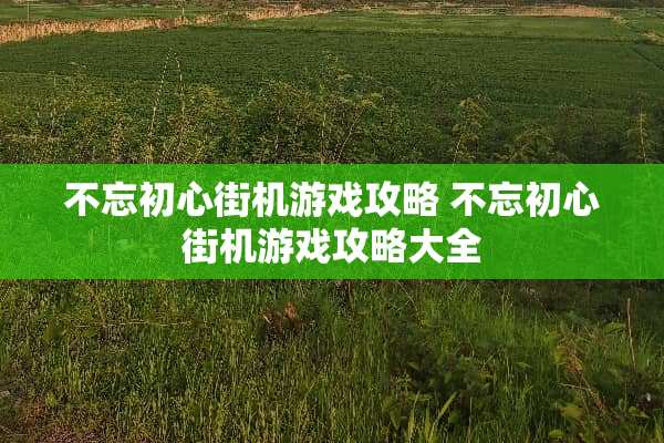 不忘初心街机游戏攻略 不忘初心街机游戏攻略大全