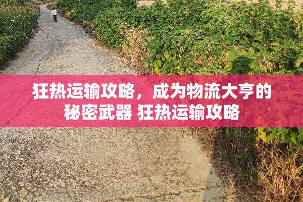 狂热运输攻略，成为物流大亨的秘密** 狂热运输攻略