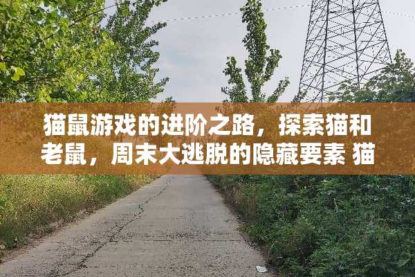 猫鼠游戏的进阶之路，探索猫和老鼠，周末大逃脱的隐藏要素 猫和老鼠周末小游戏攻略