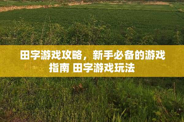 田字游戏攻略，新手必备的游戏指南 田字游戏玩法
