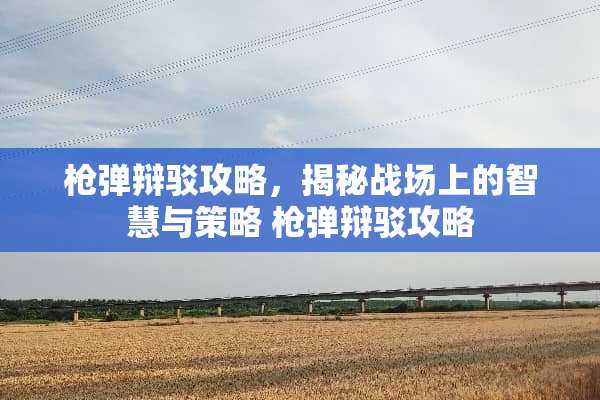 *弹辩驳攻略，揭秘战场上的智慧与策略 *弹辩驳攻略