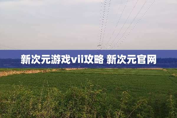 新次元游戏vii攻略 新次元官网
