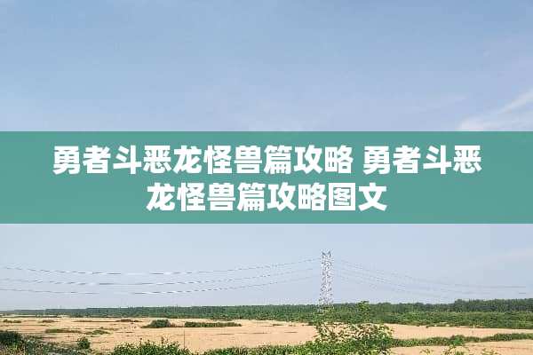 勇者斗恶龙怪兽篇攻略 勇者斗恶龙怪兽篇攻略图文